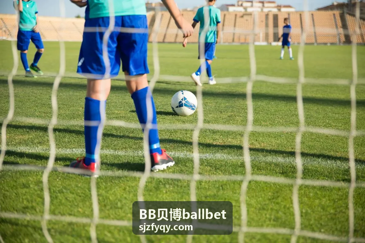 BB贝博ballbet 平台的统一数据接入与清洗界面